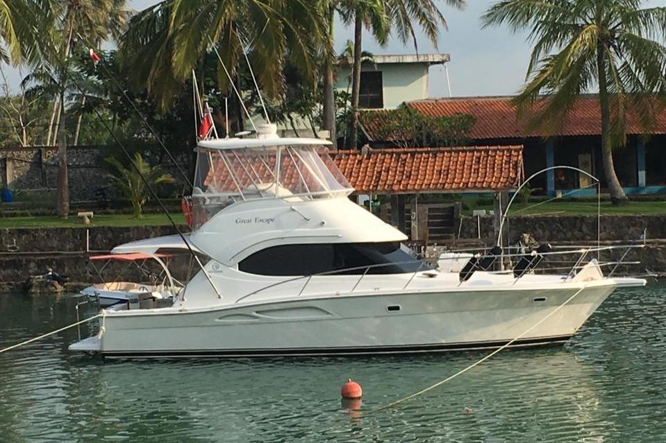 Best Deals On Pre-owned Riviera 37 Flybridge For Sale 